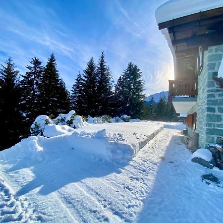 Chalet Wulli In Der Naehe Der Skianlagen Савоньїн Екстер'єр фото