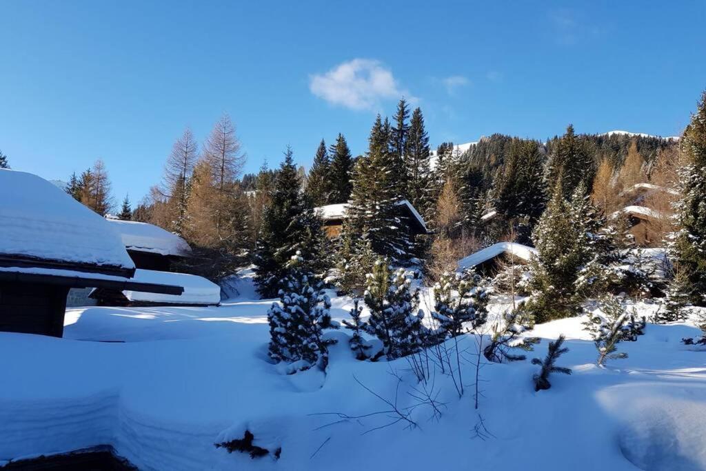 Chalet Wulli In Der Naehe Der Skianlagen Савоньїн Екстер'єр фото