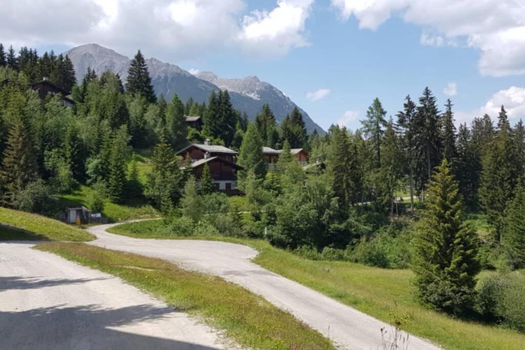 Chalet Wulli In Der Naehe Der Skianlagen Савоньїн Екстер'єр фото