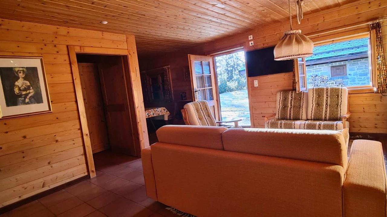 Chalet Wulli In Der Naehe Der Skianlagen Савоньїн Екстер'єр фото