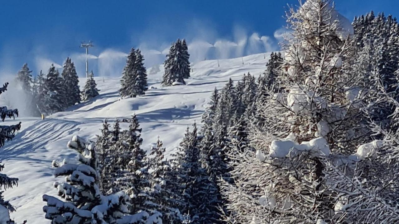 Chalet Wulli In Der Naehe Der Skianlagen Савоньїн Екстер'єр фото